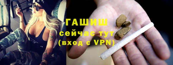 молекула духа Бородино