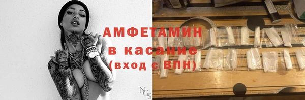 молекула духа Бородино