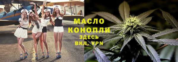 молекула духа Бородино