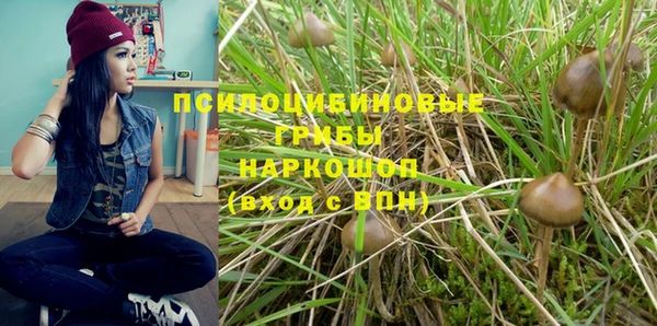 молекула духа Бородино