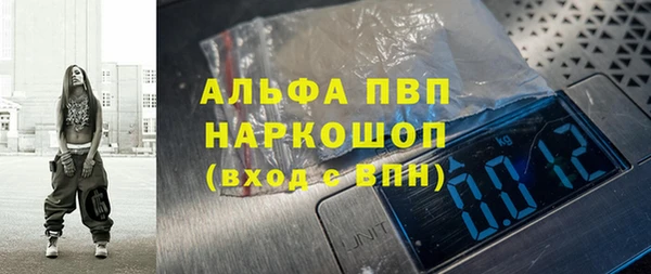 молекула духа Бородино