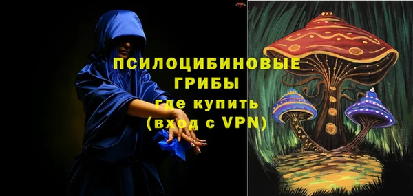 прущие крисы Бронницы