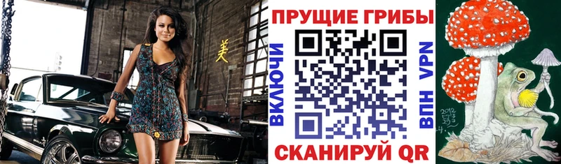 Галлюциногенные грибы Cubensis  Купить  Арамиль 