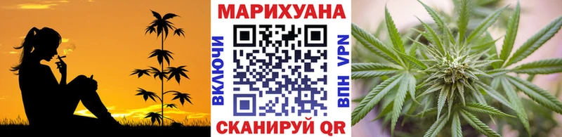 Шишки марихуана сатива Купить где Арамиль